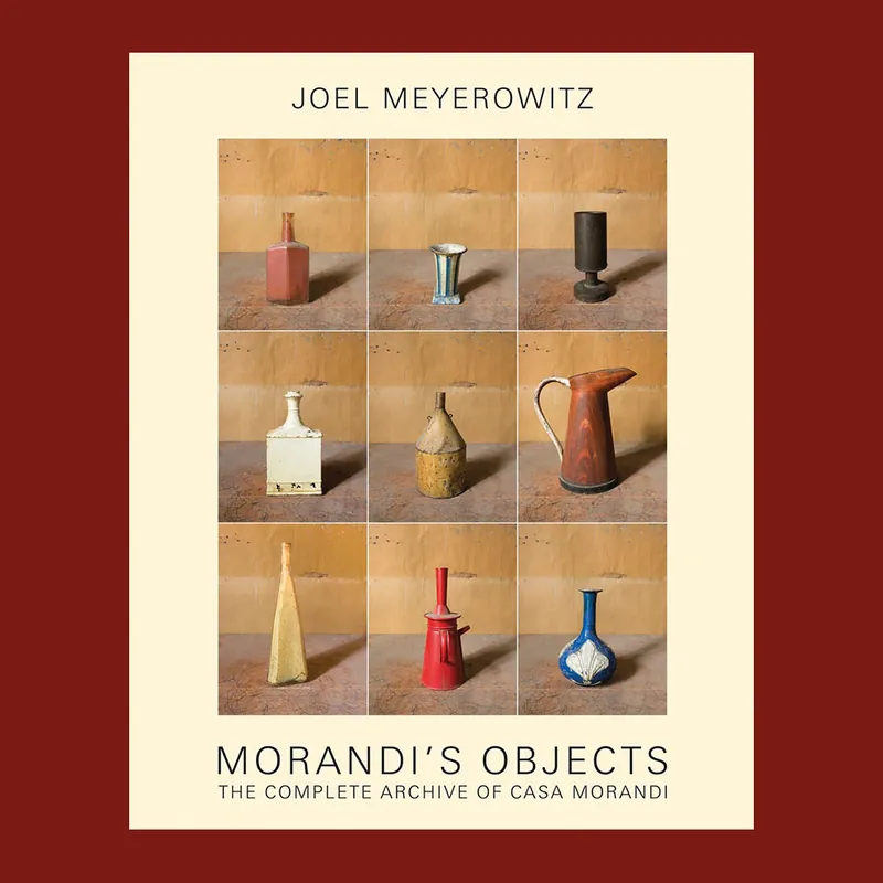Joel Meyerowitz: Morandi's Objects, The Complete Archive of Casa Morandi Beste Prijs