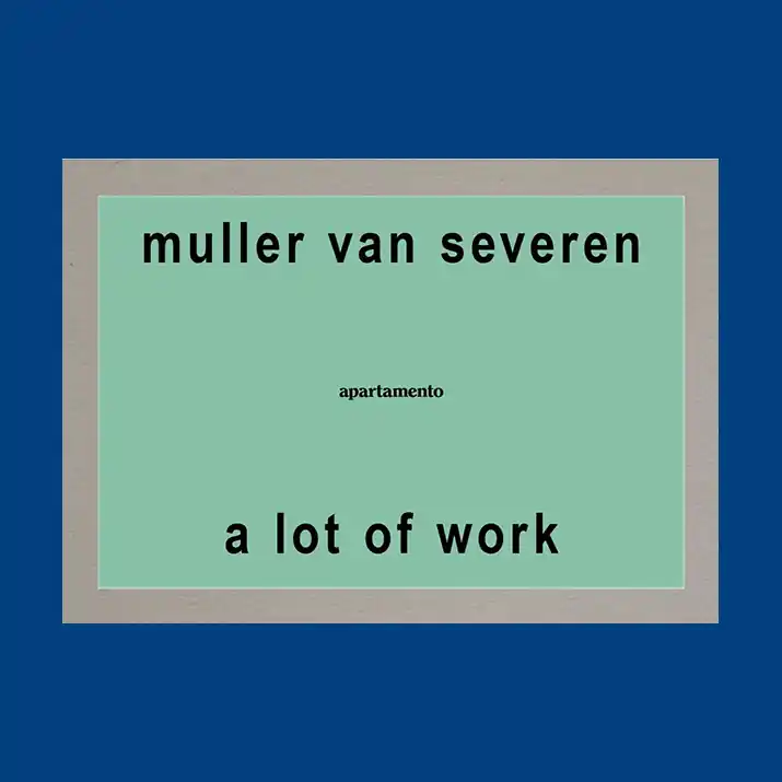 Muller Van Severen: A Lot of Work Voordeelprijs