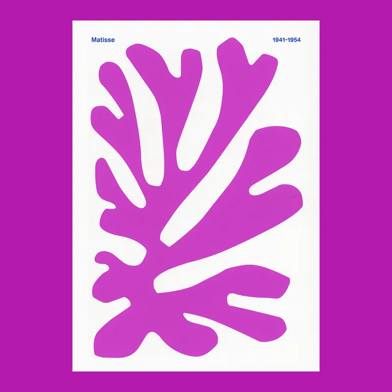 Colour Unbound: Henri Matisse 1941-1954 (Grand Palais) Superprijs