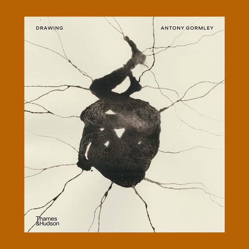 Antony Gormley: Drawing Voordeelprijs
