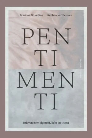 Bestseller Martin Gosselink & Stephan Vanfleteren: Pentimenti, Brieven over pigment, licht en troost