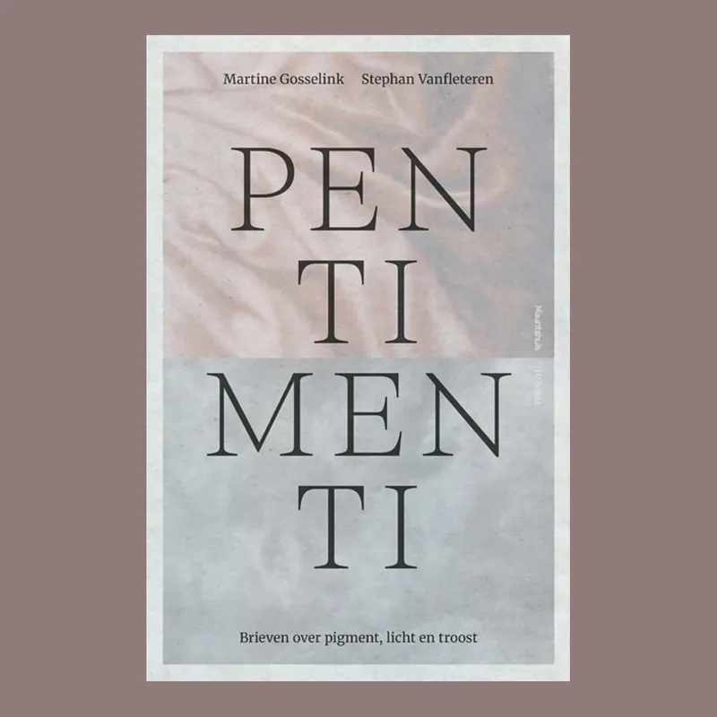 Bestseller Martin Gosselink & Stephan Vanfleteren: Pentimenti, Brieven over pigment, licht en troost