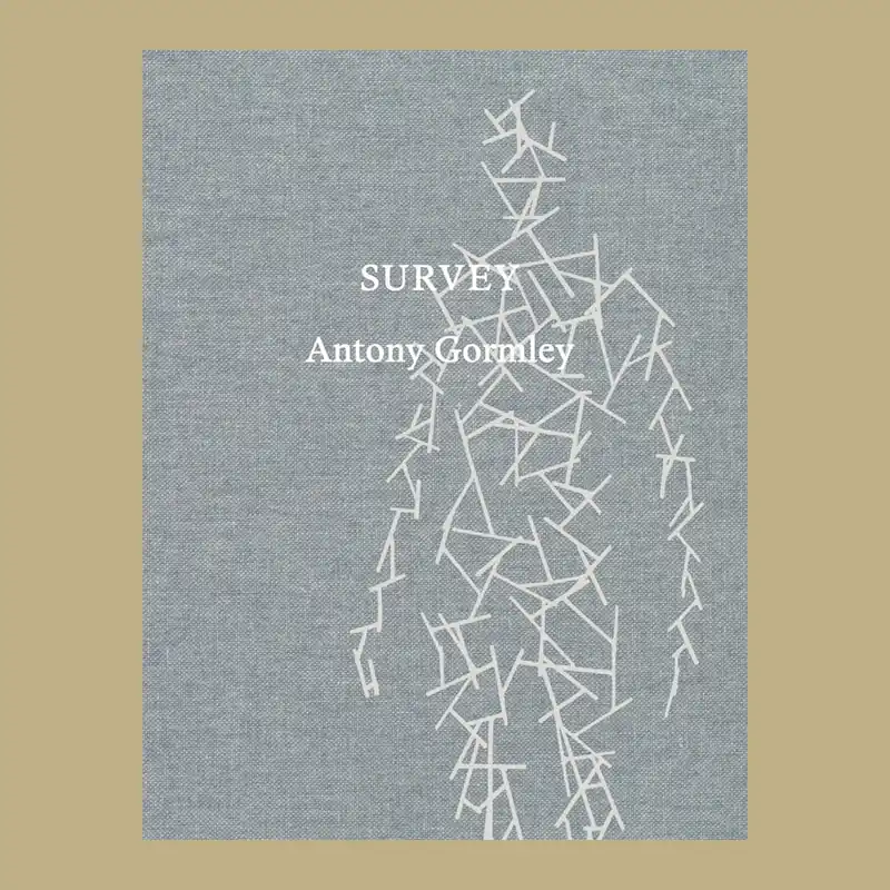 Antony Gormley: Survey Gereduceerde Prijs