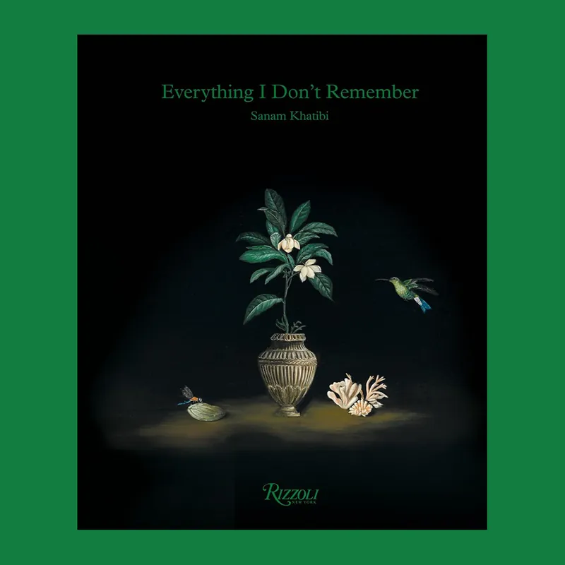 Sanam Khatibi: Everything I Don't Remember Koopje
