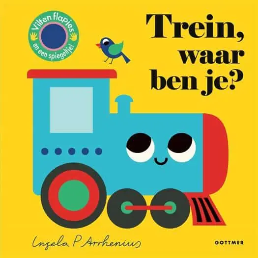 Trein, waar ben je? (vilten flapjes en spiegel) Gratis Verzending