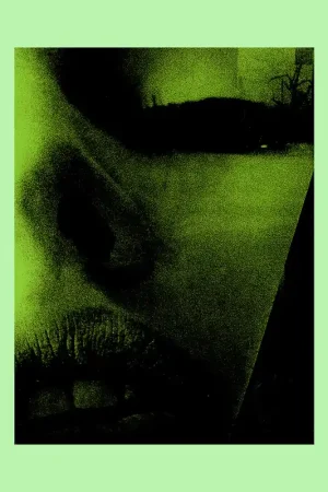 Aanbieding Daido Moriyama: Quartet
