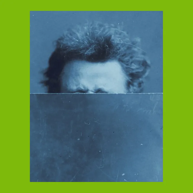 Rechtstreeks Van De Fabrikant Fiona Tan: Monomania (Rijksmuseum)