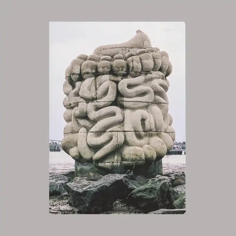 Lage Prijs Daniel Dewar & Grégory Gicquel: Le pied, le pull-over et le système digestif