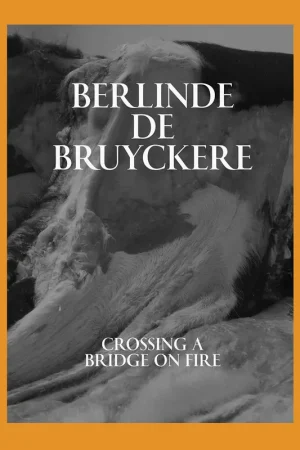 Tijdelijk Beschikbaar Berlinde De Bruyckere: Crossing a Bridge on Fire