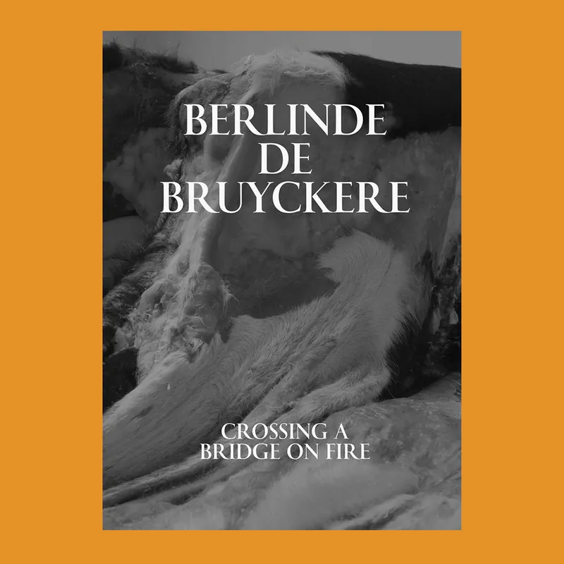 Tijdelijk Beschikbaar Berlinde De Bruyckere: Crossing a Bridge on Fire