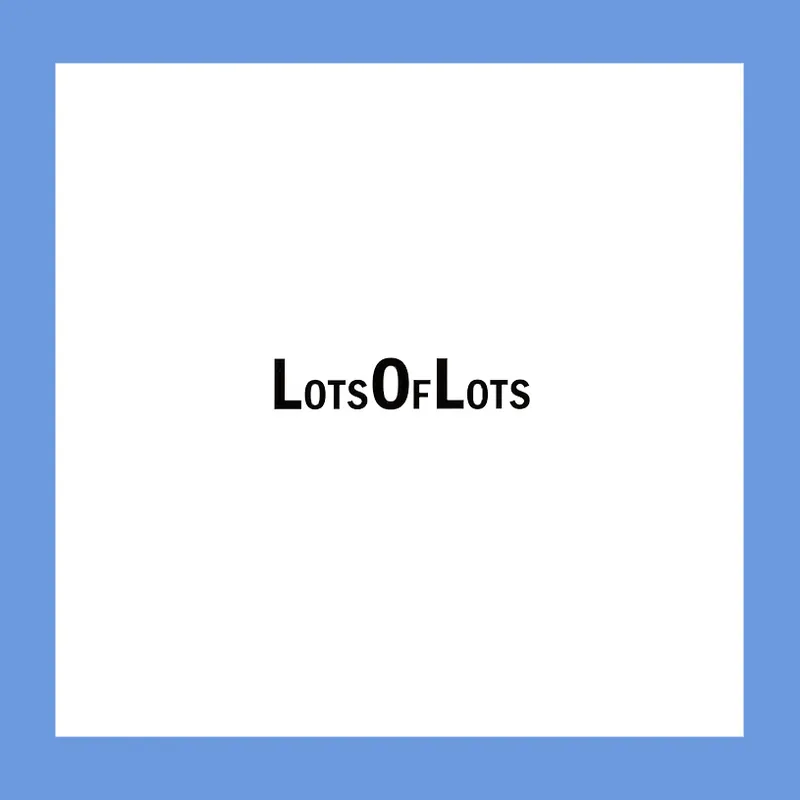 Jason Fulford: Lots of Lots (Signed copy) Goedkoop