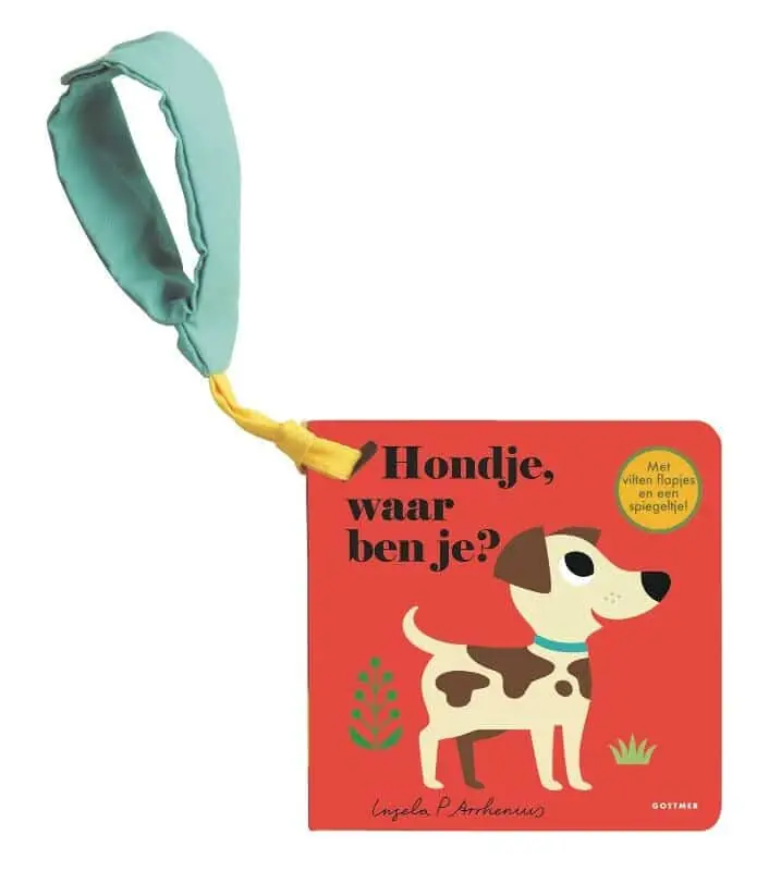 Gecertificeerd Hondje, waar ben je (buggyboekje)