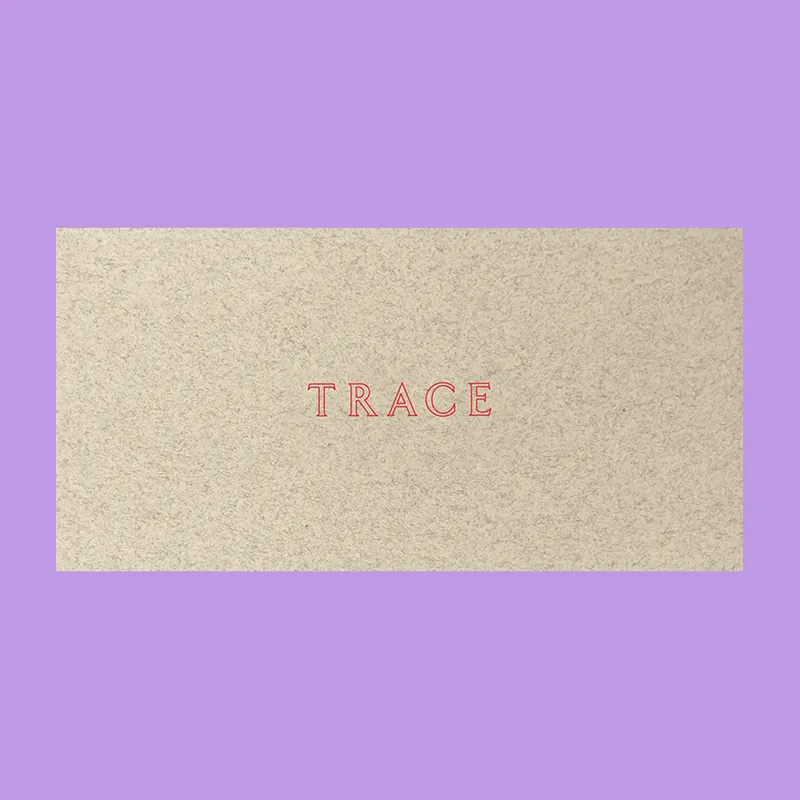 Jenny Holzer: Trace (Guggenheim Museum) Koopje