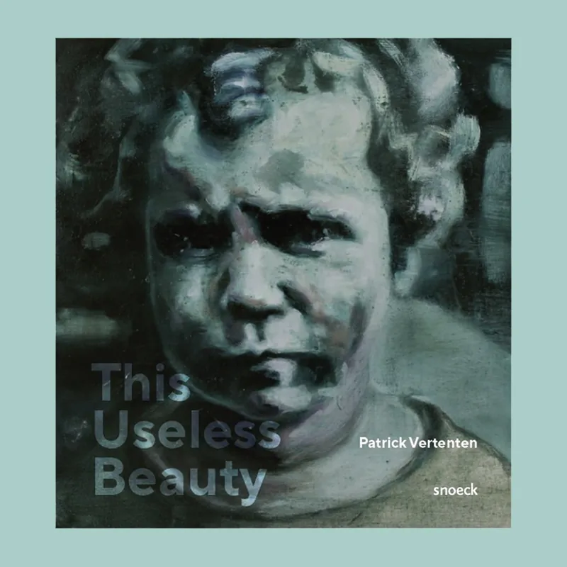 Patrick Vertenten: This Useless Beauty Voordeelprijs