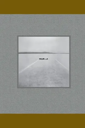Walter De Maria: The Object, the Action, The Aesthetic Feeling Beste Prijs