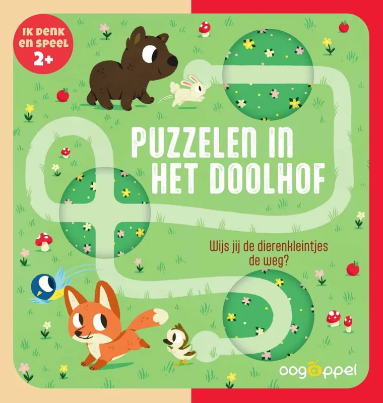 Direct Verzonden Ik denk en speel – Puzzelen in het doolhof (kartonboek)