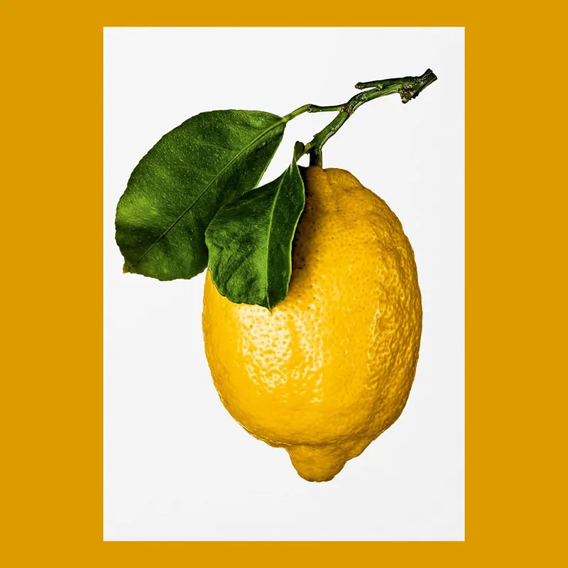 Lage Prijs The Gourmand's Lemon: A Collection of Stories and Recipes