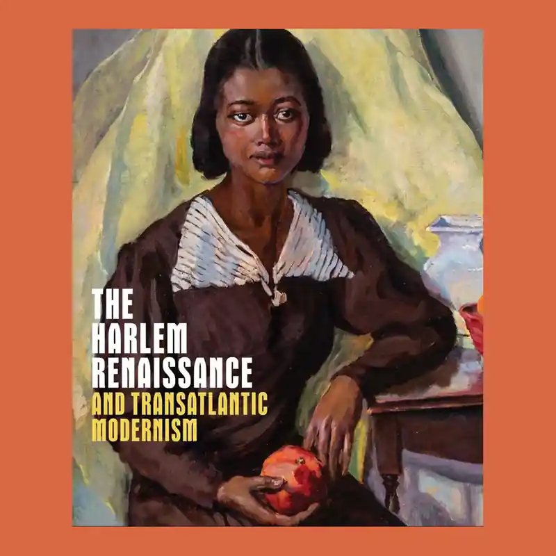 Goedkoop The Harlem Renaissance and Transatlantic Modernism (The Metropolitan)