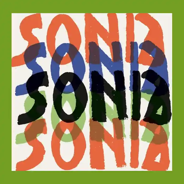 Sonia Delaunay (Monograph) Bestel Nu