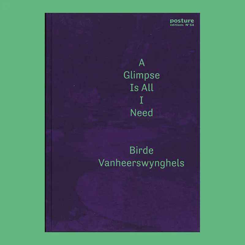 Birde Vanheerswynghels: A Glimpse Is All I Need Tijdelijk Beschikbaar