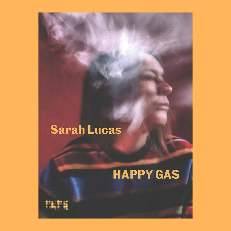 Dagaanbieding Sarah Lucas: Happy Gas (Tate)