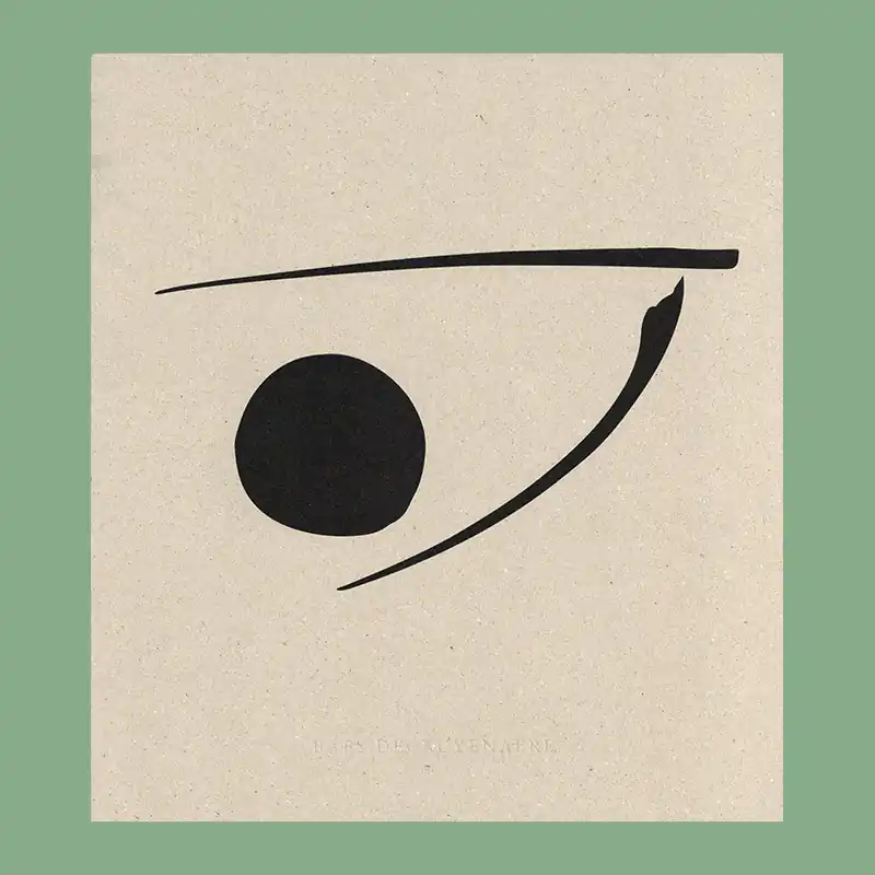 Koop Vandaag Babs Decruyenaere: Understanding the Landscape (Signed in an edition of 300 copies)