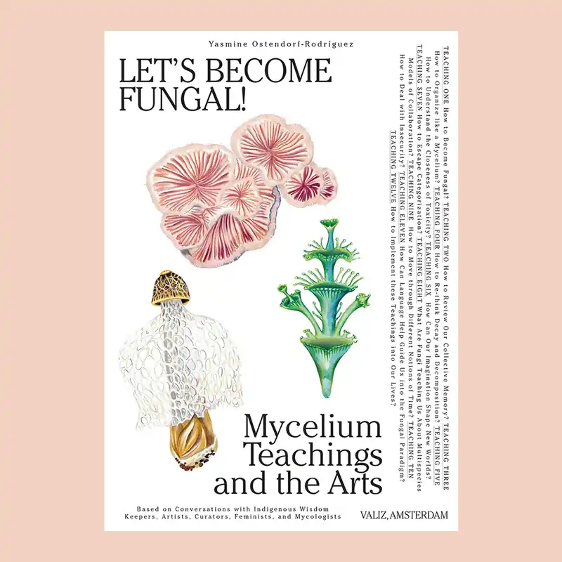 Let's Become Fungal! Mycelium Teachings and the Arts Aanbieding