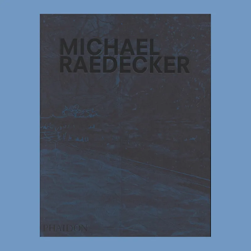 Koop Vandaag Michael Raedecker: Everything but not Everything (Monography)