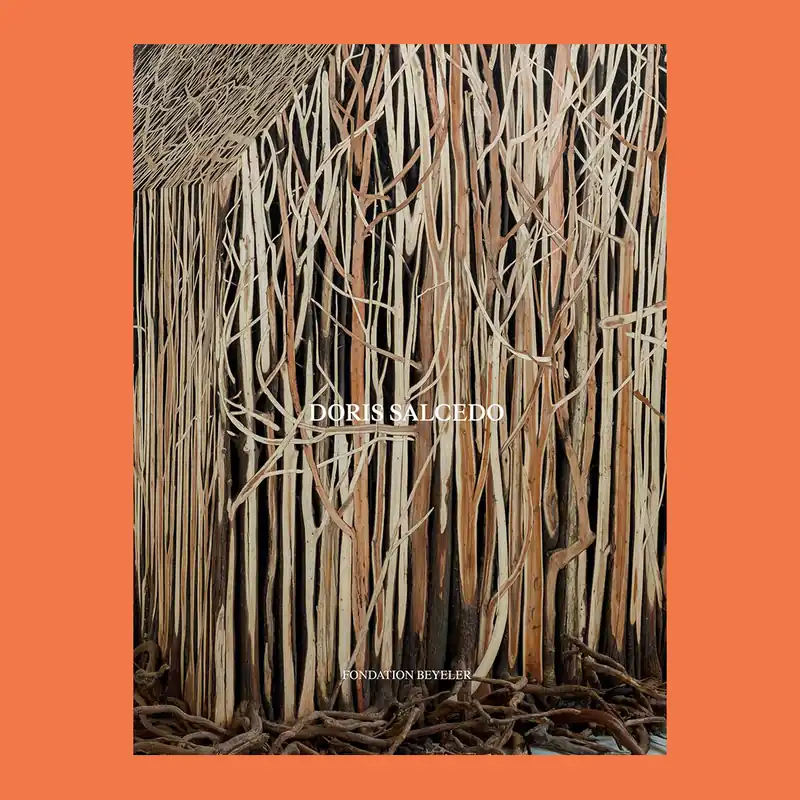 Doris Salcedo (Fondation Beyeler) Beperkte Voorraad