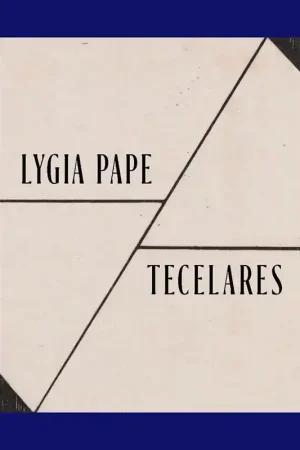 Weekendaanbieding Lygia Pape: Tecelares (Art Institute Chicago)