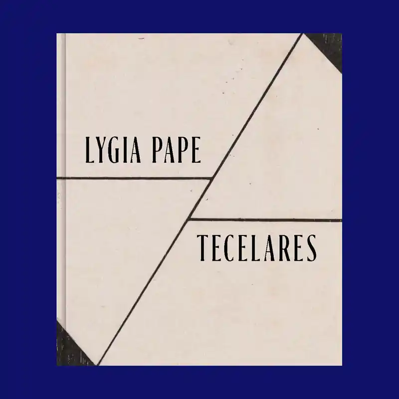 Weekendaanbieding Lygia Pape: Tecelares (Art Institute Chicago)