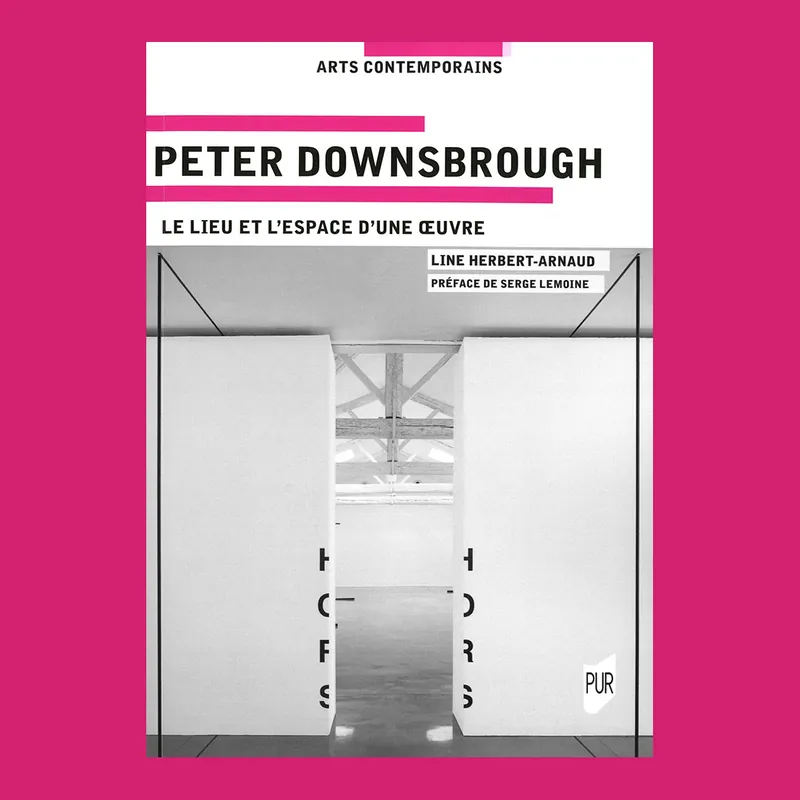 Peter Downsbrough: Le lieu et l'espace d'une oeuvre Exclusieve Aanbieding