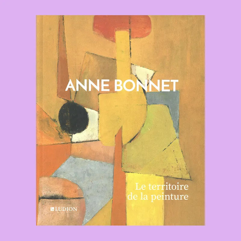 Koop Vandaag Anne Bonnet: La territoire de la peinture