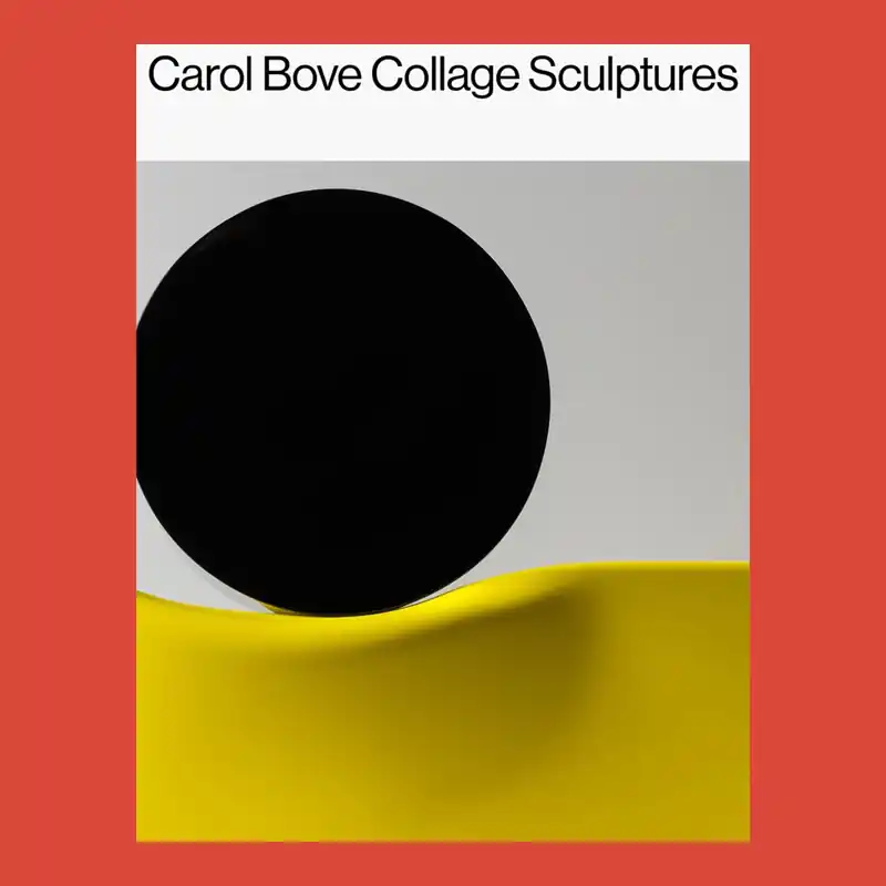 Populair Carol Bove Collage Sculptures