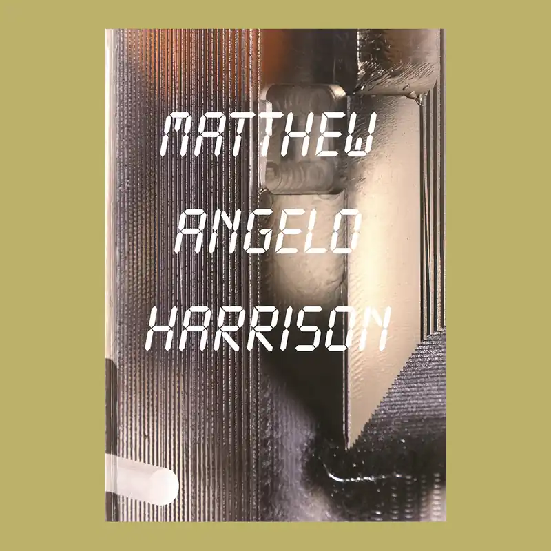 Matthew Angelo Harrison (Kunsthalle Basel & MIT List Visual Arts Center) Tijdelijk Beschikbaar