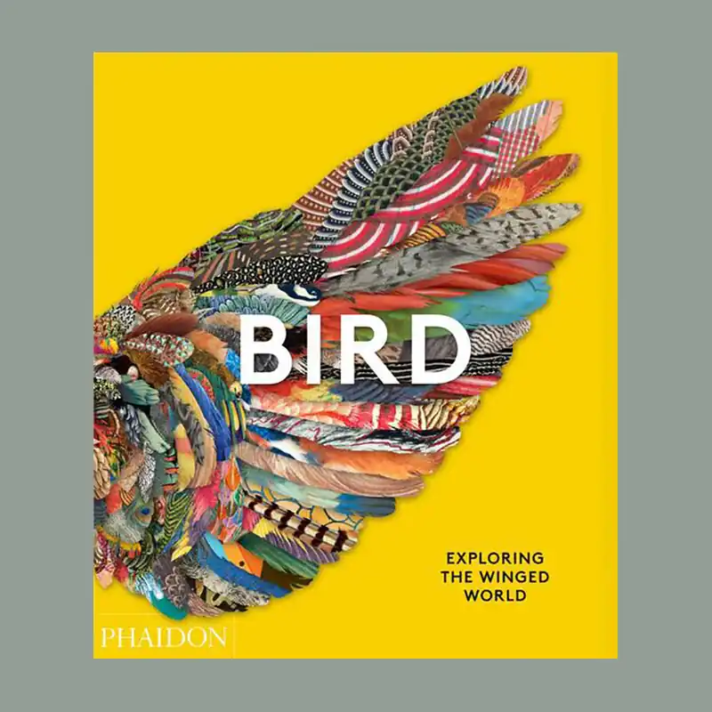 Bird: Exploring the Winged World Bestel Nu