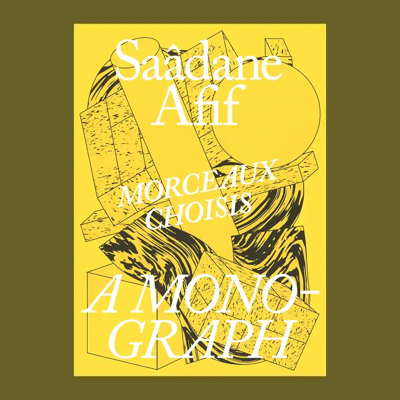 Exclusieve Aanbieding Saâdane Afif: Morceaux choisis – A Monograph
