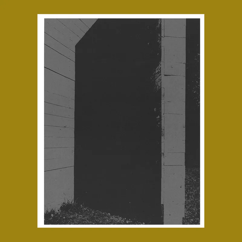 Merkproduct Henk Delabie: Verplaatsingen / Displacements