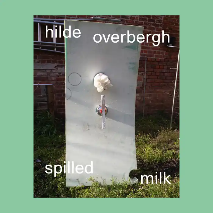 Hilde Overbergh: spilled milk Nu Kopen