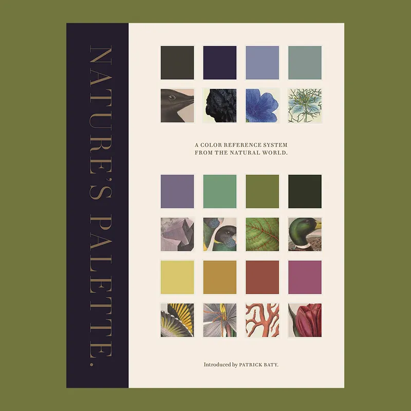 Koop Vandaag Nature's Palette: A Colour Reference System from the Natural World