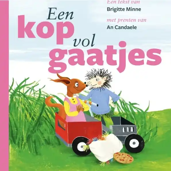 Laatste Kans Een kop vol gaatjes