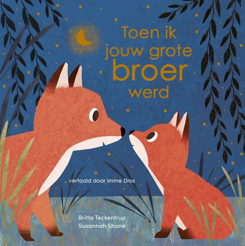 Dagaanbieding Toen ik jouw grote broer werd (in herdruk tot 27/05/2026)