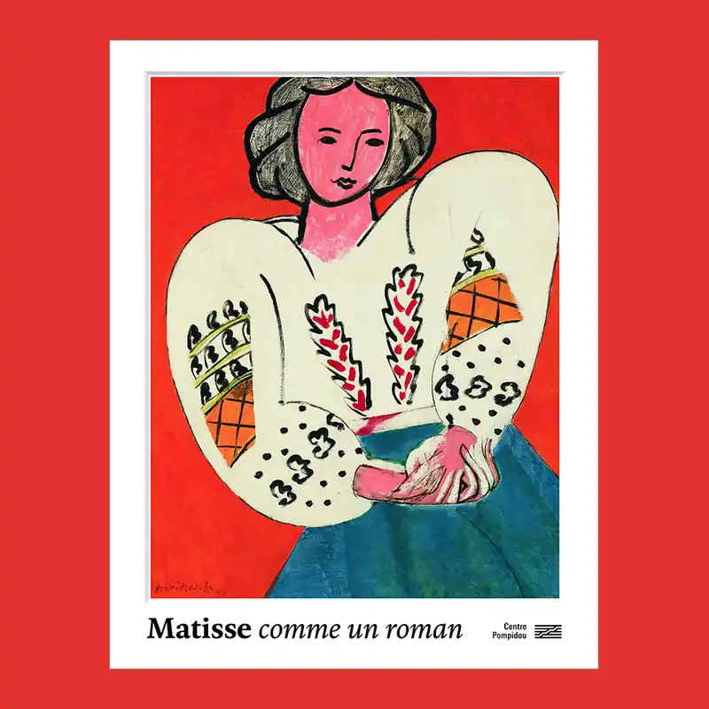 Exclusieve Aanbieding Matisse: Comme un roman (Centre Pompidou)