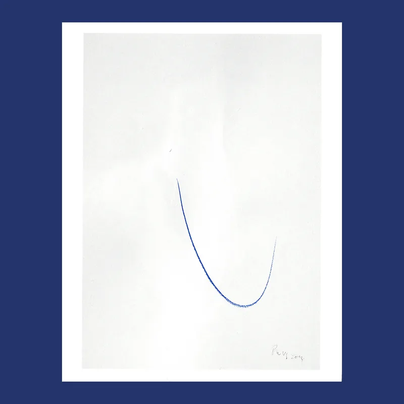 Philippe Van Snick: The Project (SMAK) Premium