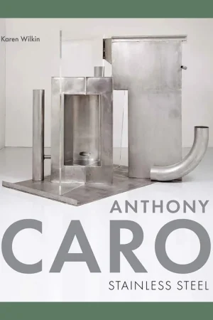 Anthony Caro: Stainless Steel Hoge Kwaliteit