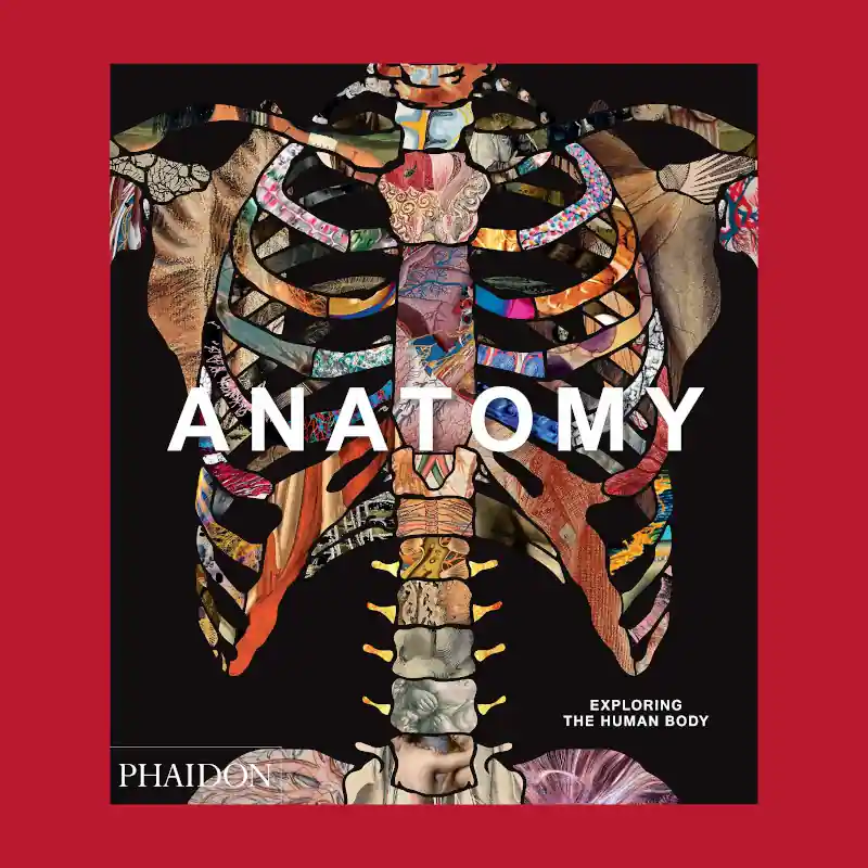 Anatomy: Exploring the Human Body Must-Have