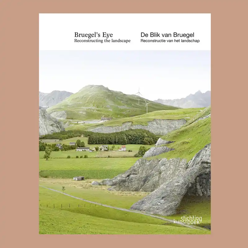 Favoriet Bruegel's Eye: Reconstructing the Landscape