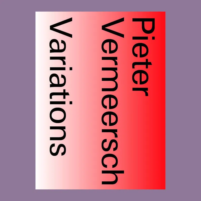 Pieter Vermeersch: Variations Laatste Kans
