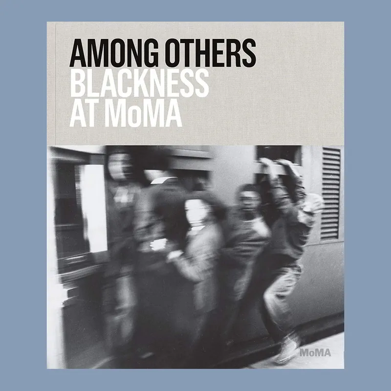 Voordeelprijs Among Others: Blackness at MoMA