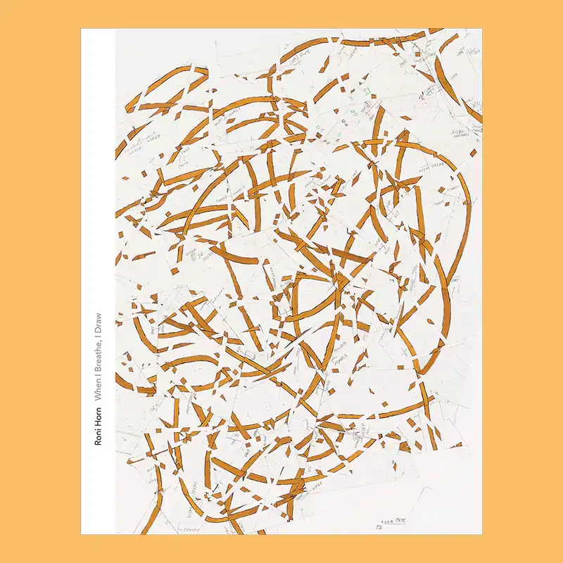 Roni Horn: When I Breathe, I Draw Laatste Kans